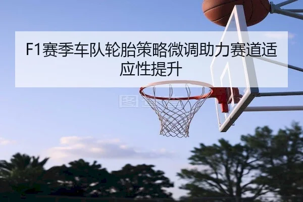 F1赛季车队轮胎策略微调助力赛道适应性提升 | V SPORTS